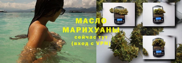 дмт Дмитриев