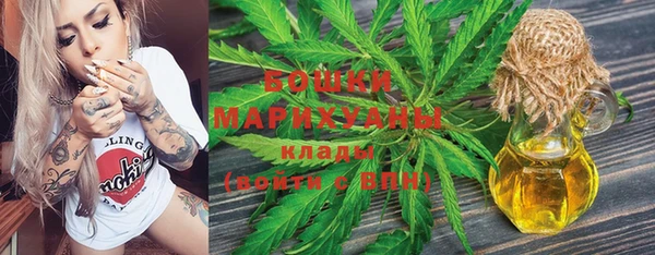 мет Ельня