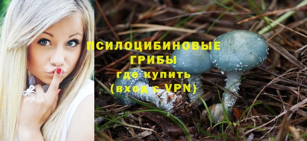 дживик Таштагол