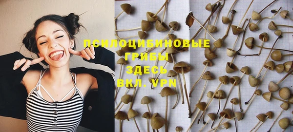первитин Горняк