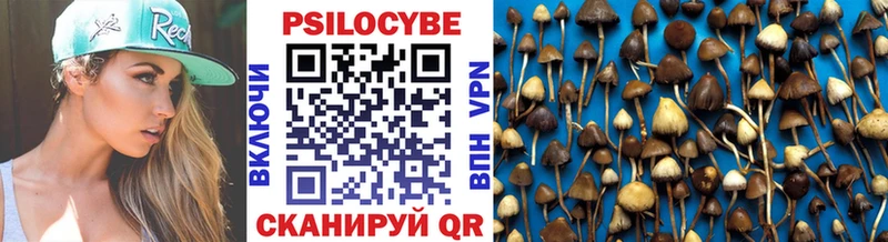 гидра маркетплейс  что такое наркотик  Казань  Галлюциногенные грибы Cubensis 